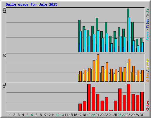 Daily usage for July 2025