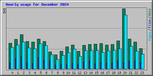 Hourly usage for December 2024