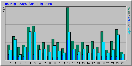 Hourly usage for July 2025