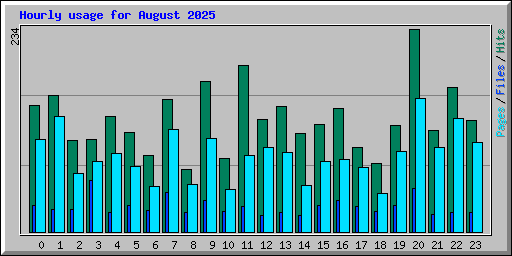 Hourly usage for August 2025
