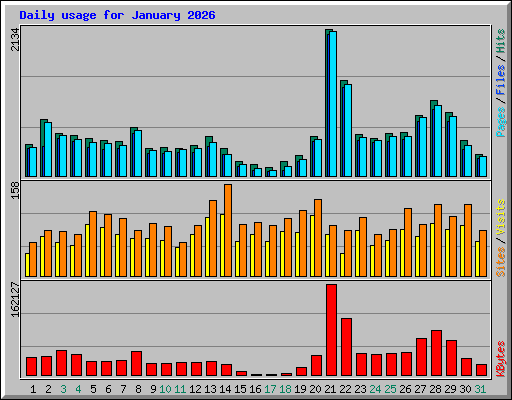 Daily usage for January 2026