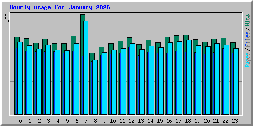 Hourly usage for January 2026